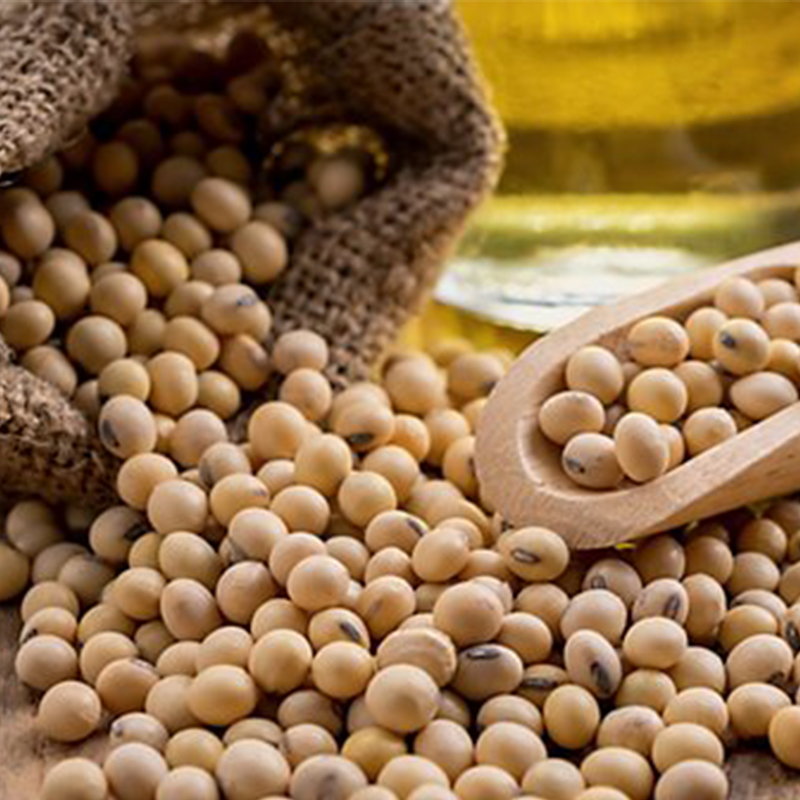 OneGro_0001_Soy Beans